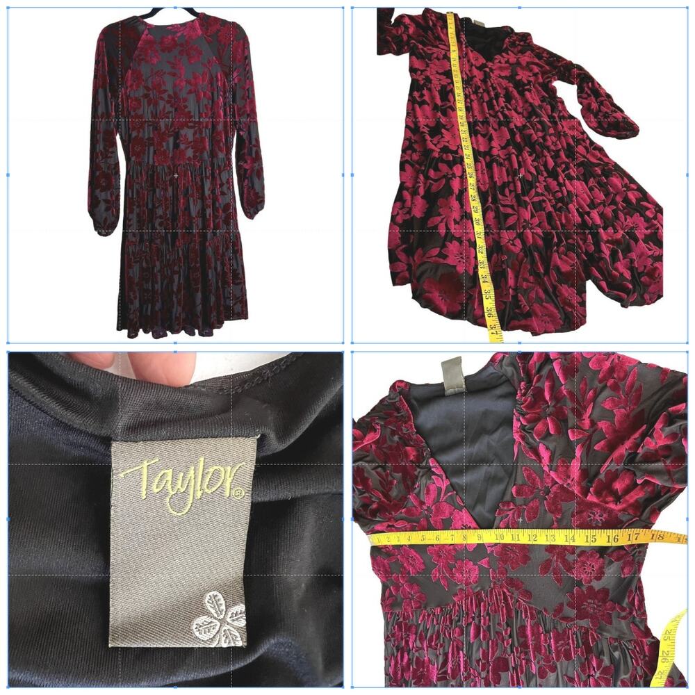 Floral Velvet Burnout Babydoll Dress US M Est Taylor Whimsigoth - Picture 3 of 11